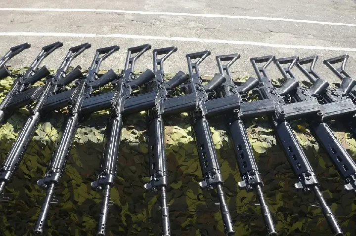 Forças de segurança do RJ terão de fazer recadastramento de armas