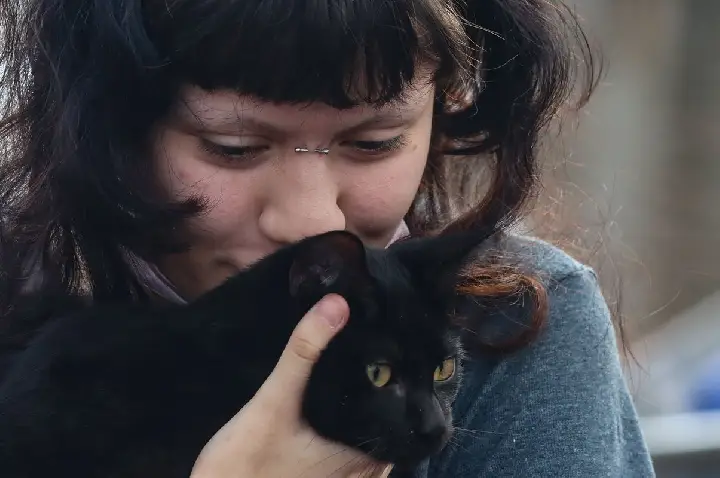 Programa da Prefeitura de SP faz castração gratuita de cães e gatos