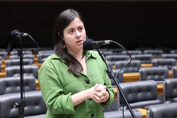 Projeto proíbe acesso a armas de fogo para quem responde por medida protetiva de urgência