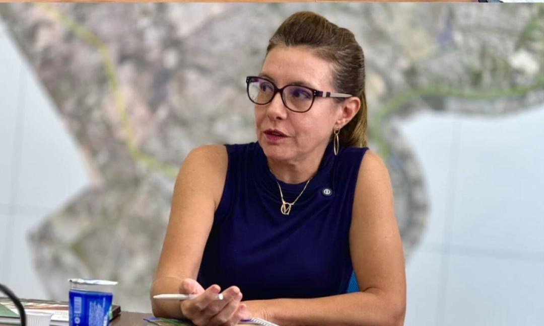 Flávia Moretti declara situação de emergência em Saúde Pública em VG