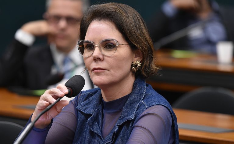 Comissão aprova participação social em plano para enfrentar violência contra mulher